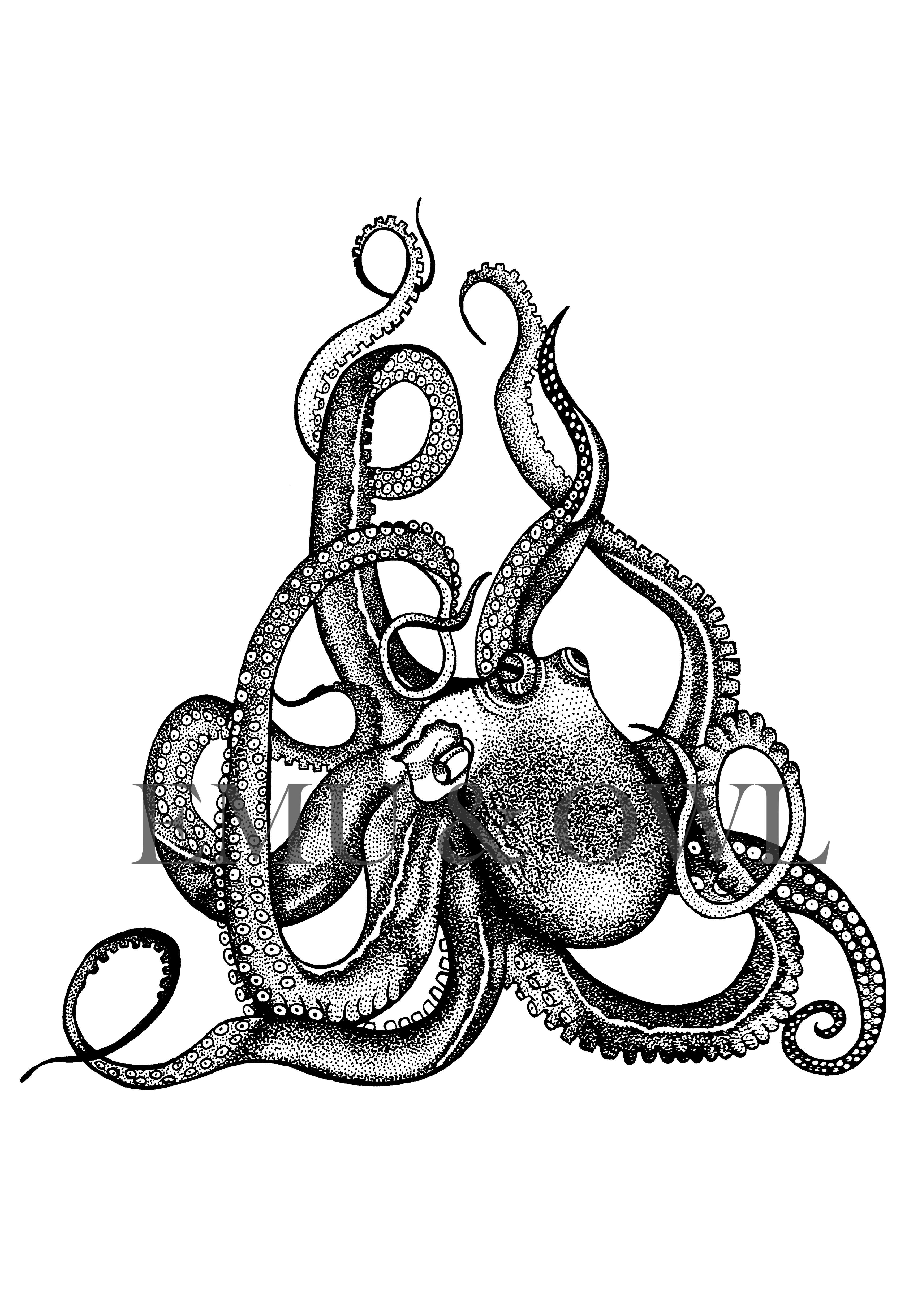 Realistic Octopus Drawing Photo