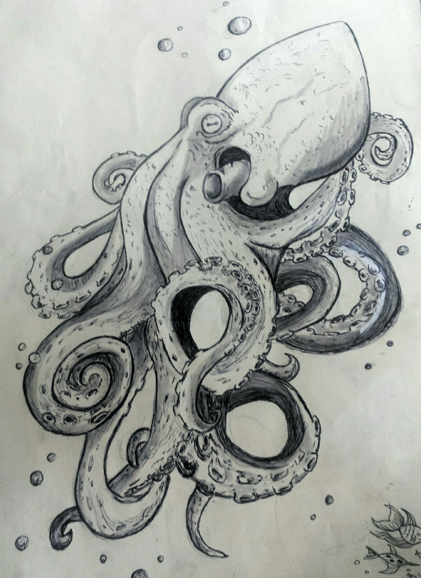 Realistic Octopus Drawing Realistic Sketch