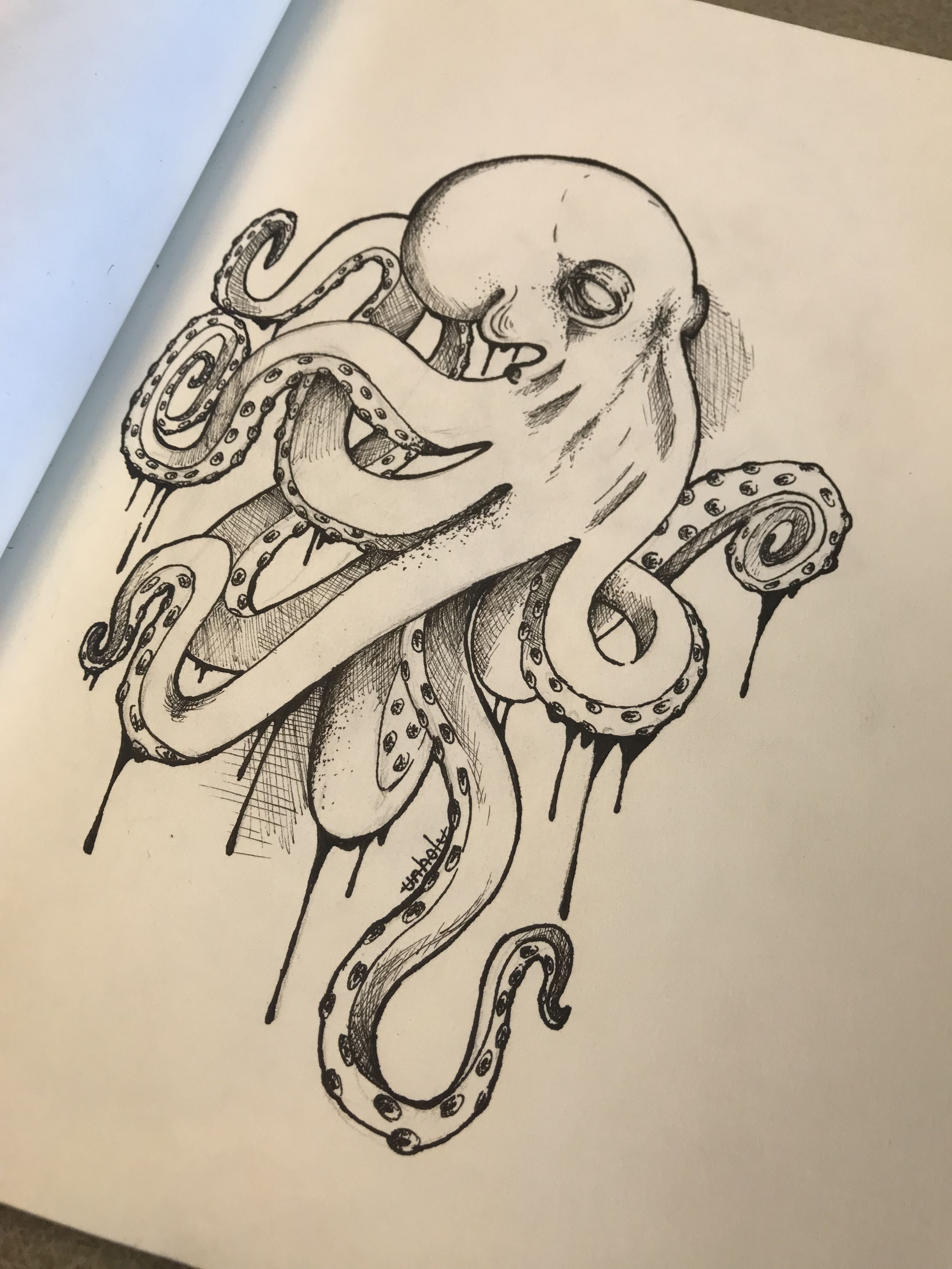 Realistic Octopus Drawing Stunning Sketch