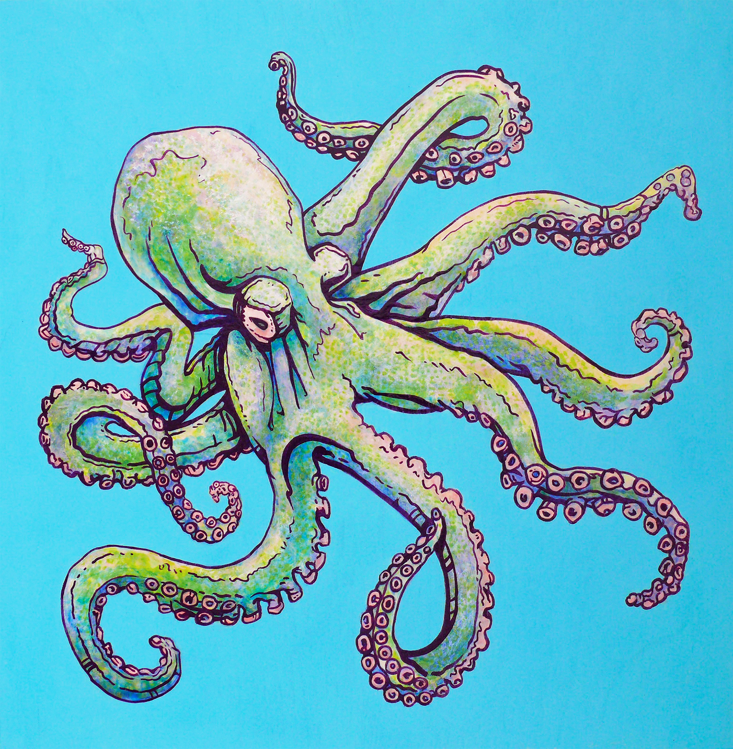 Realistic Octopus Drawing