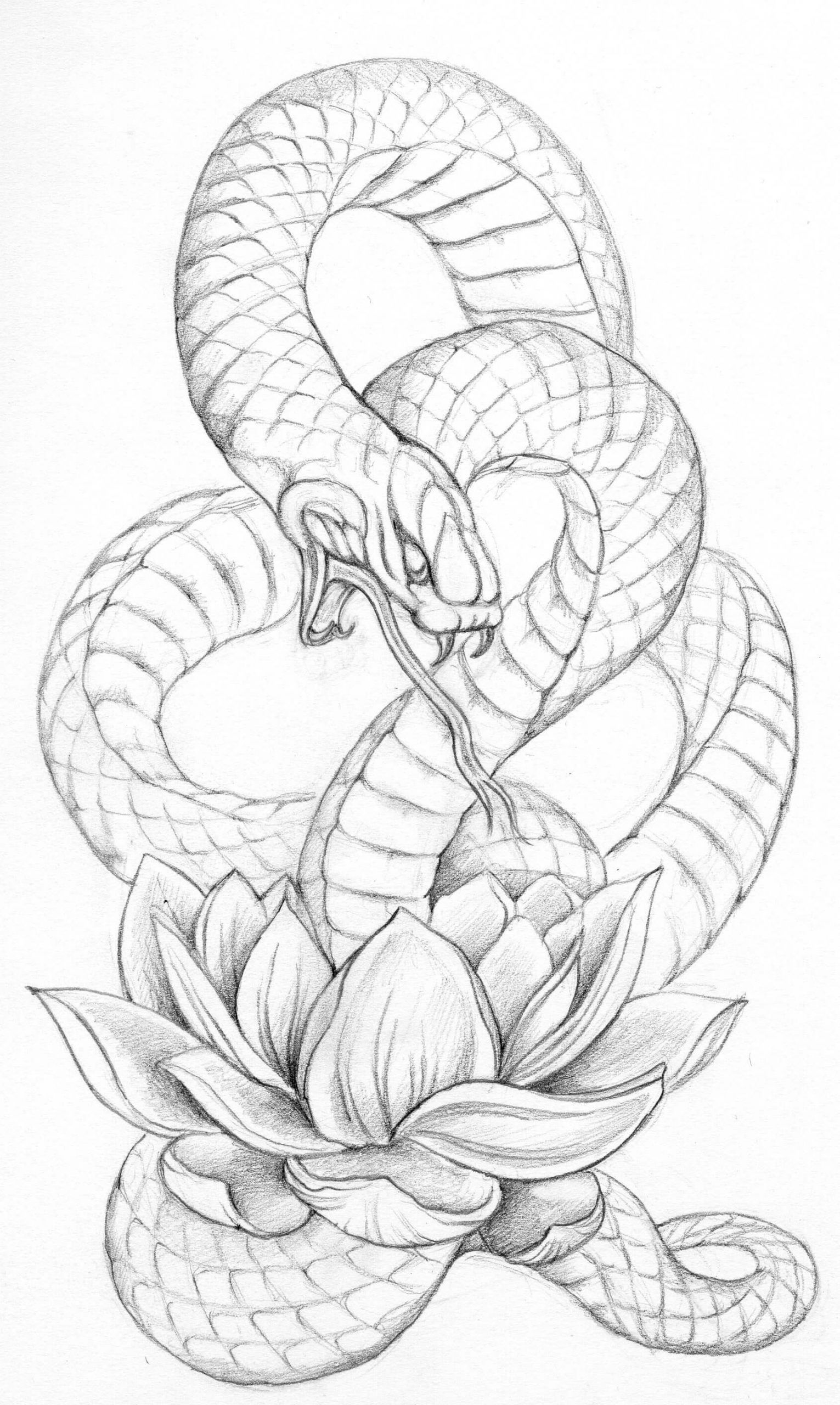 Realistic Snake Drawing Art