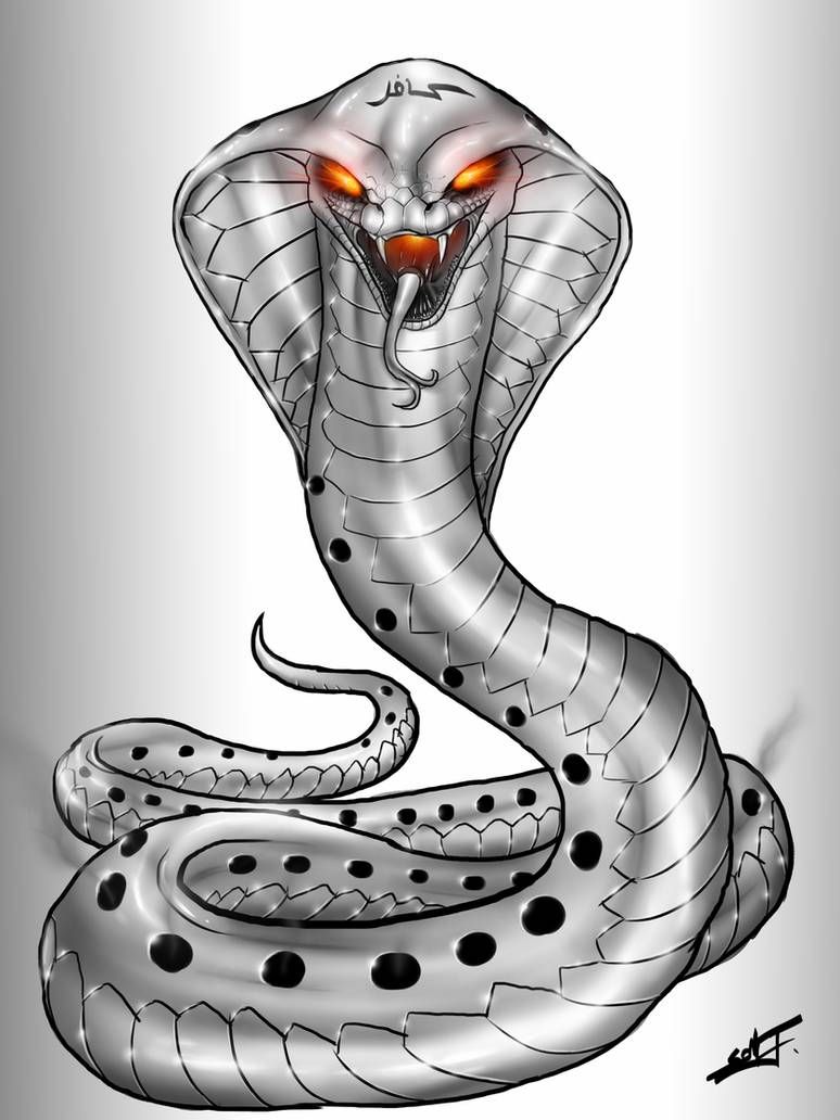 Realistic Snake Drawing Detailed Sketch