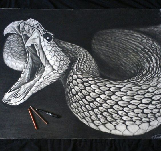 Realistic Snake Drawing Sketch