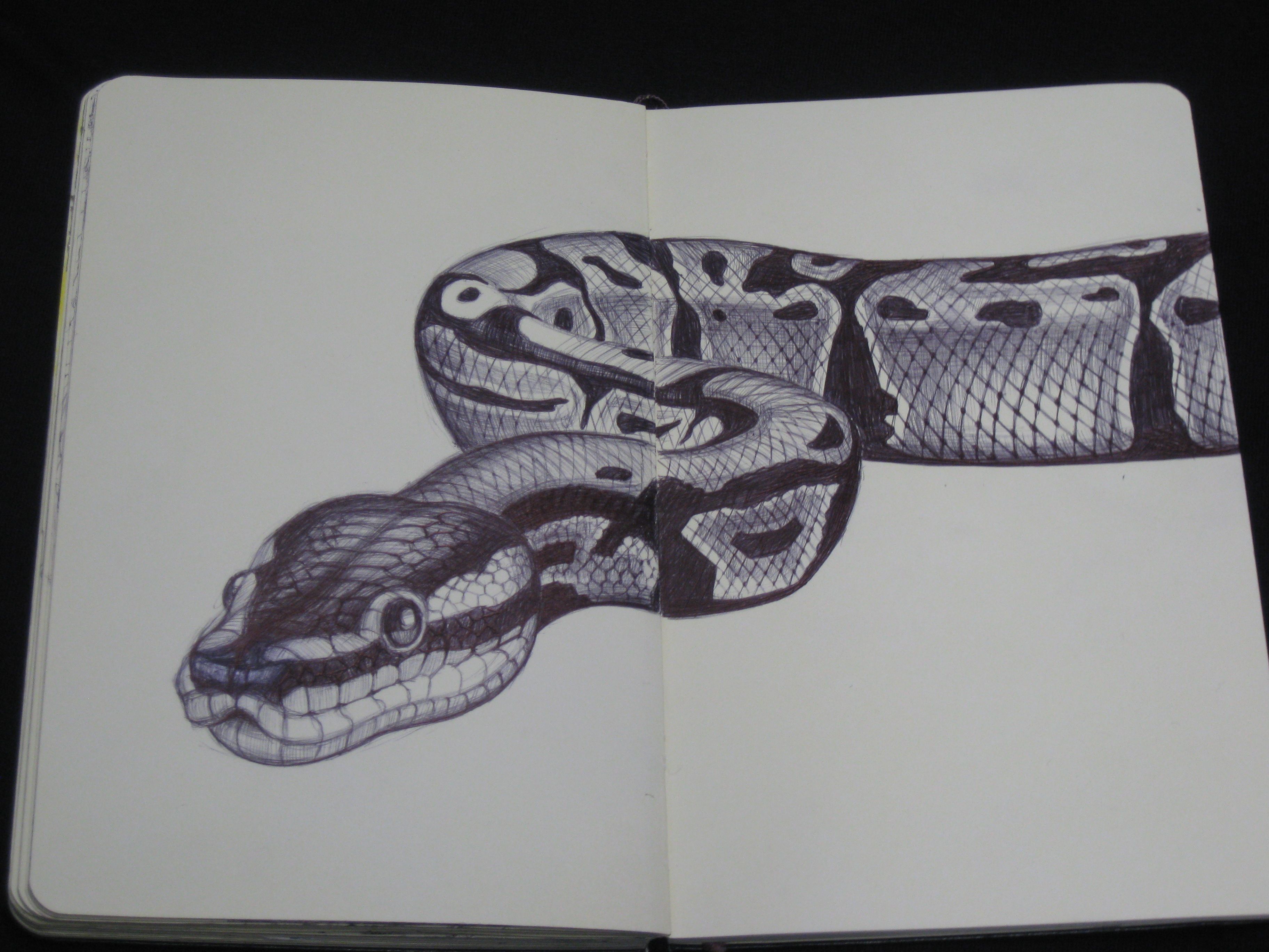 Realistic Snake Drawing