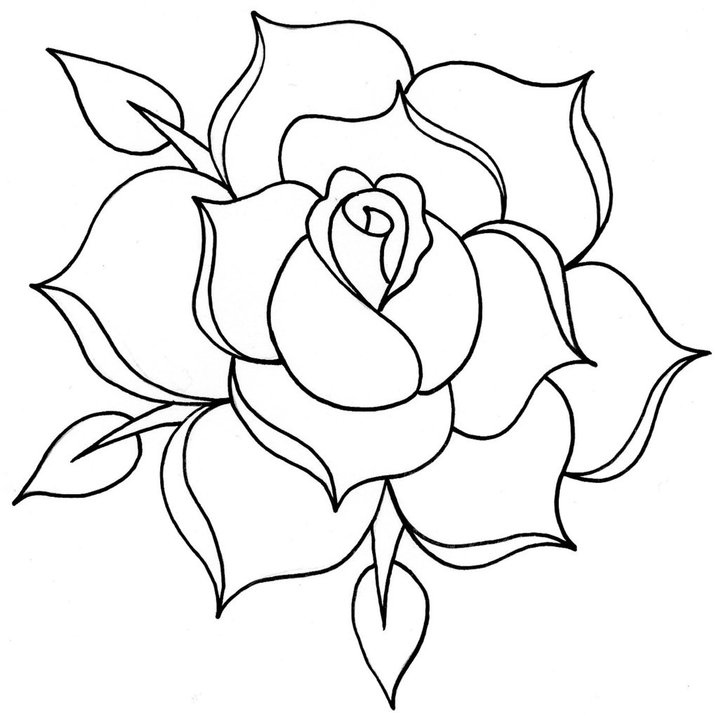 Rose Outline Drawing Amazing Sketch