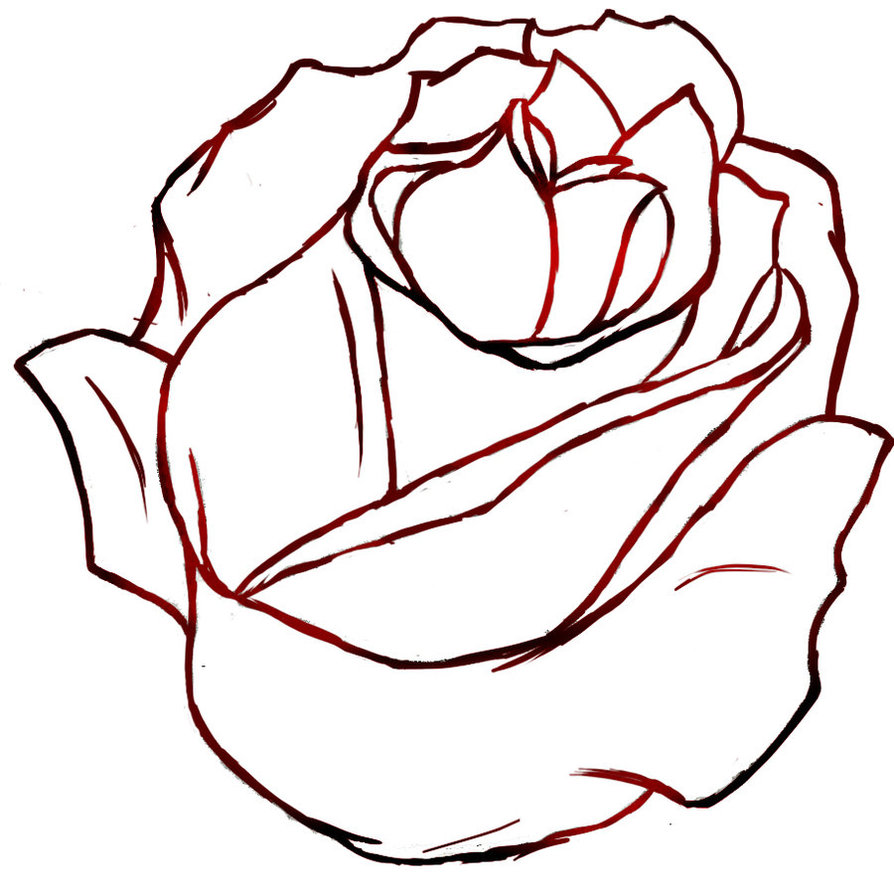 Rose Outline Drawing Fine Art
