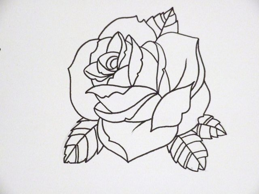 Rose Outline Drawing Hand Drawn