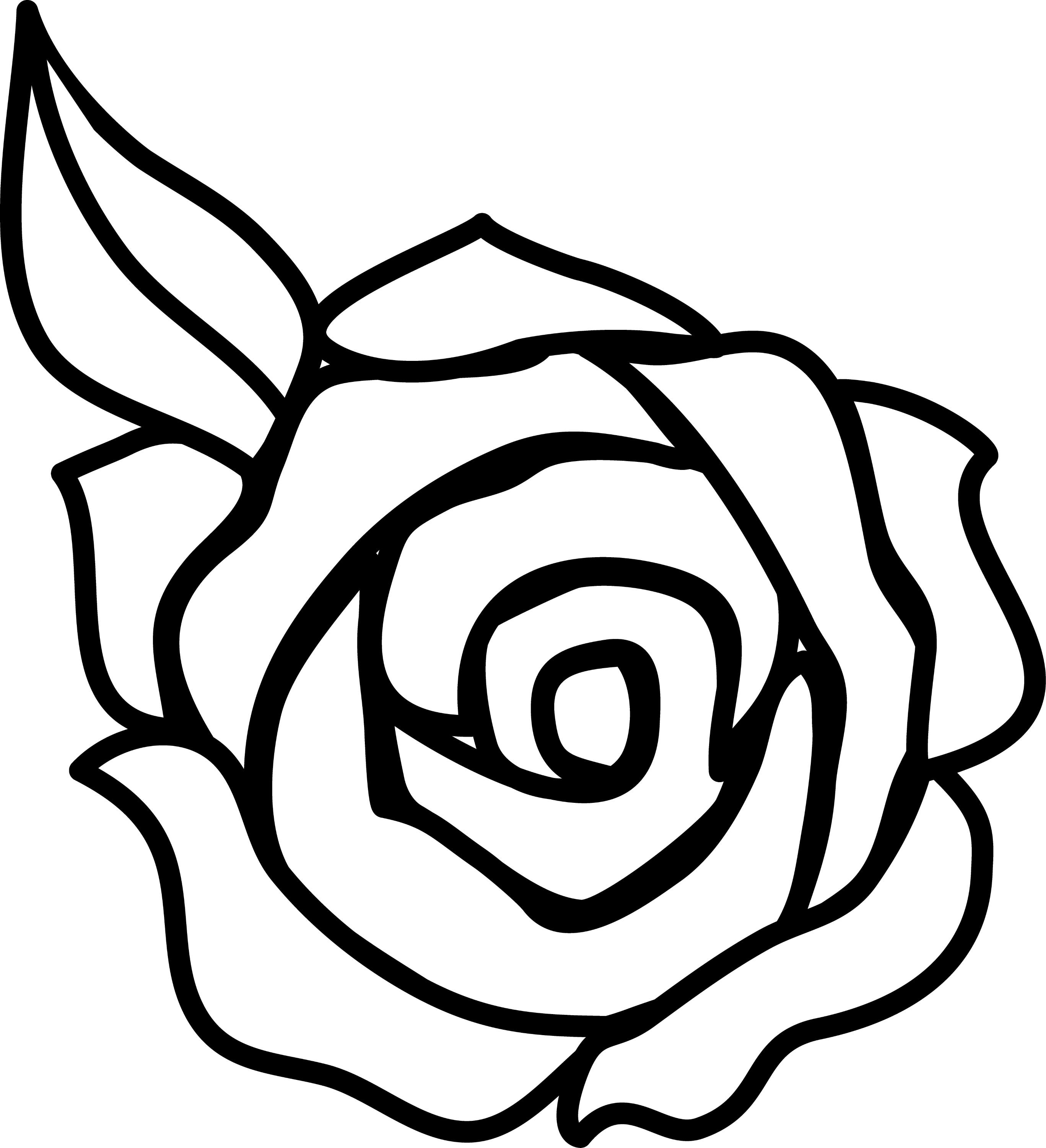 Rose Outline Drawing Realistic Sketch