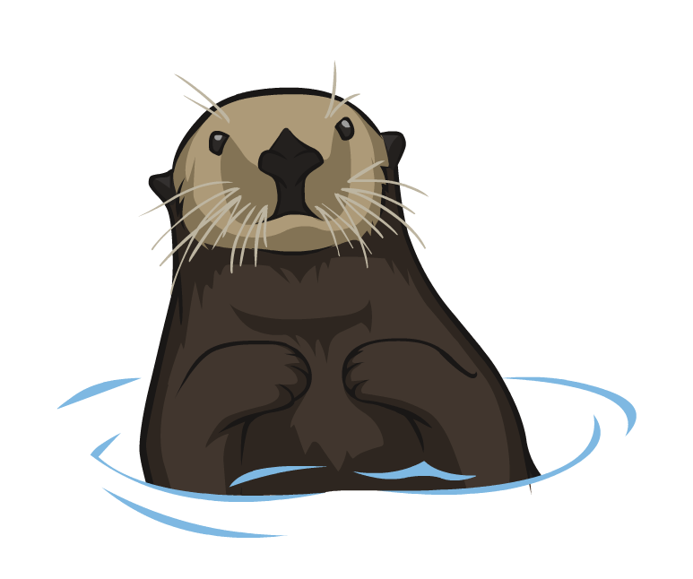 Sea Otter Drawing Amazing Sketch