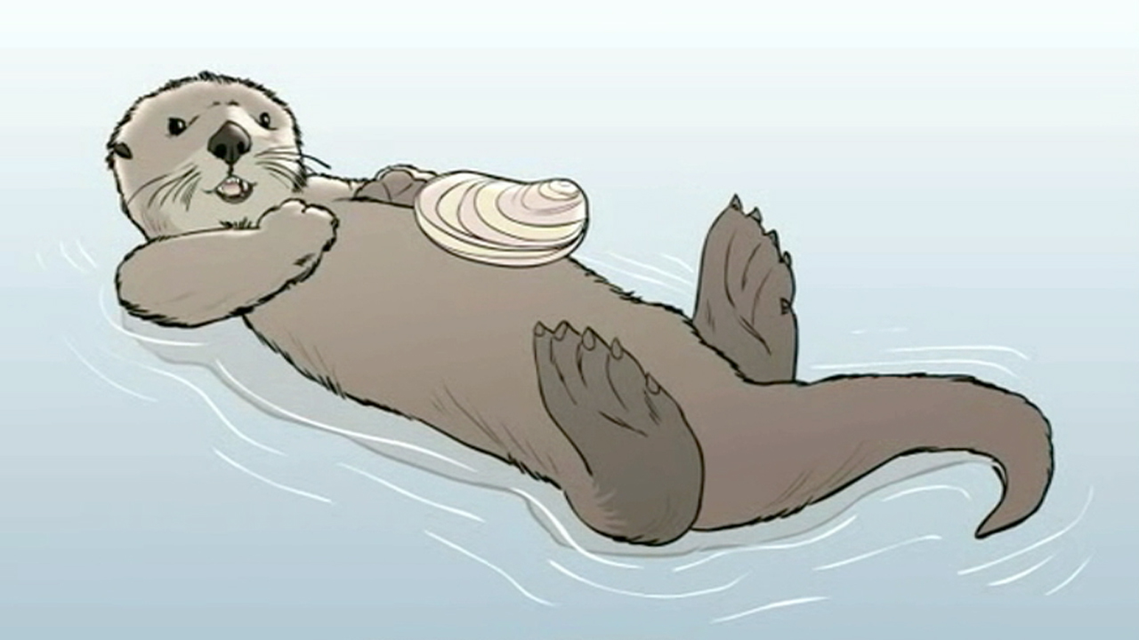 Sea Otter Drawing Fine Art