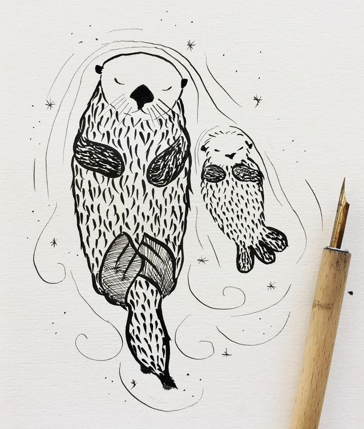 Sea Otter Drawing Modern Sketch