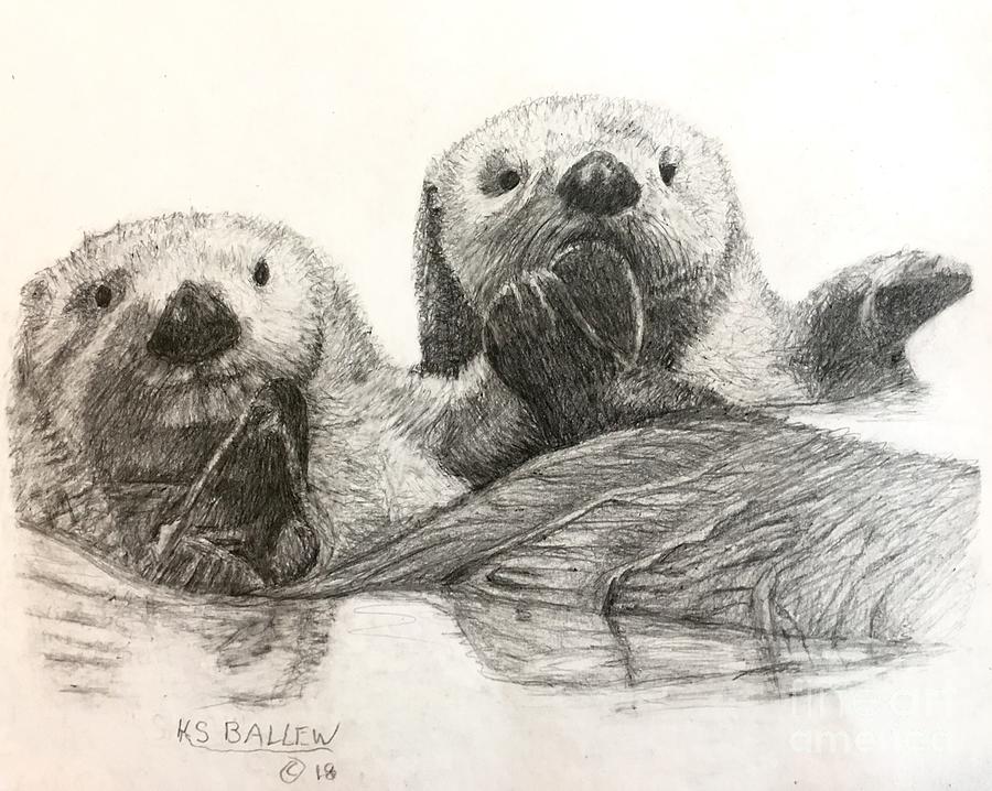 Sea Otter Drawing Photo