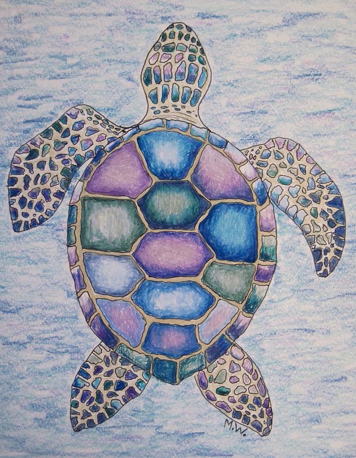 Sea Turtle Drawing Detailed Sketch