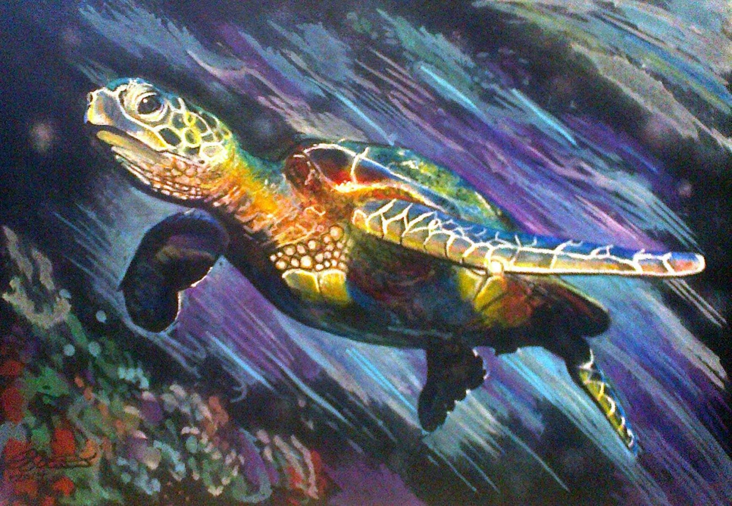Sea Turtle Drawing Image