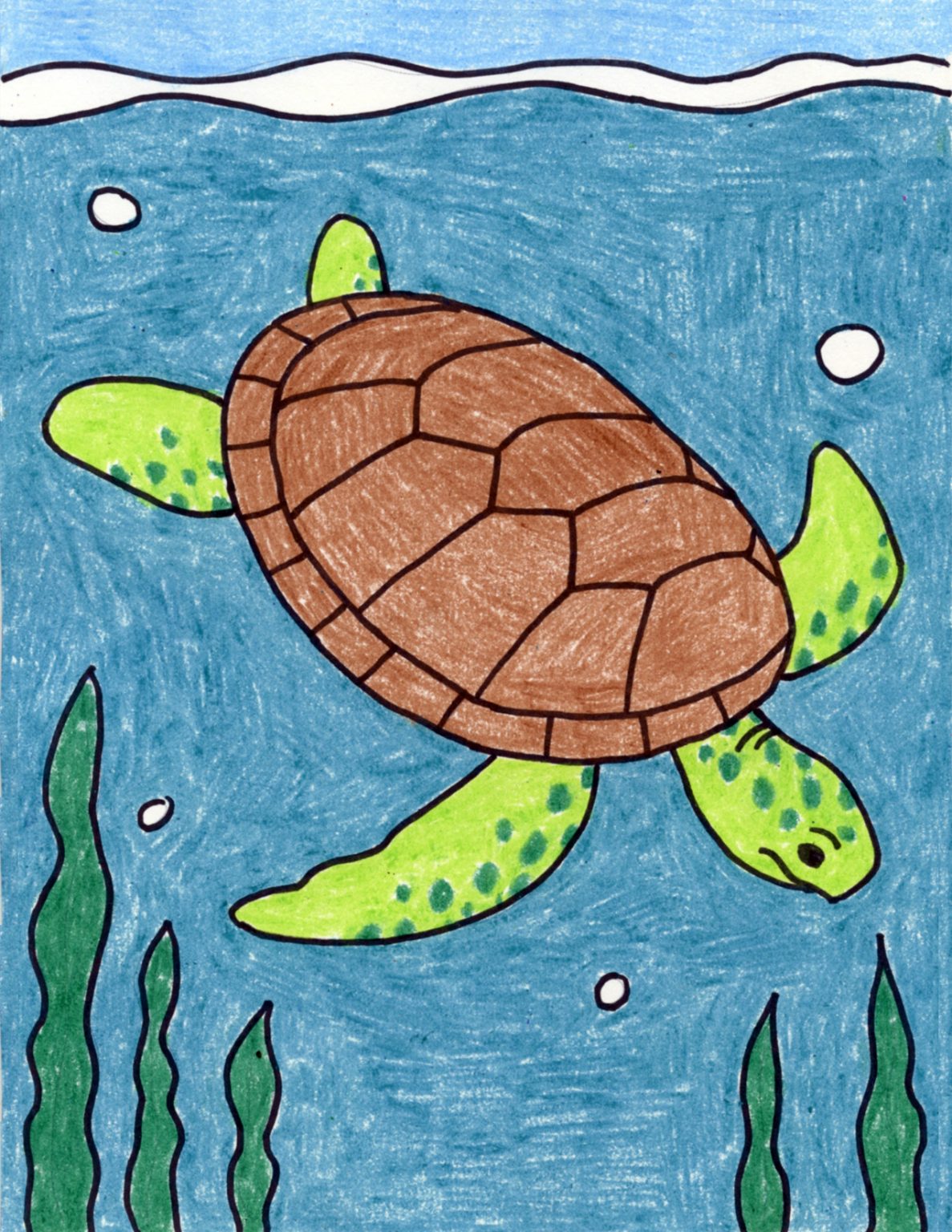 Sea Turtle Drawing Intricate Artwork