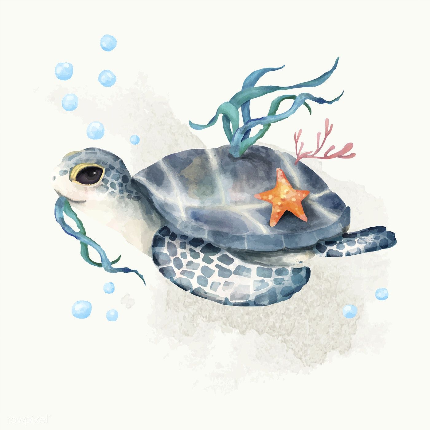 Sea Turtle Drawing Realistic Sketch