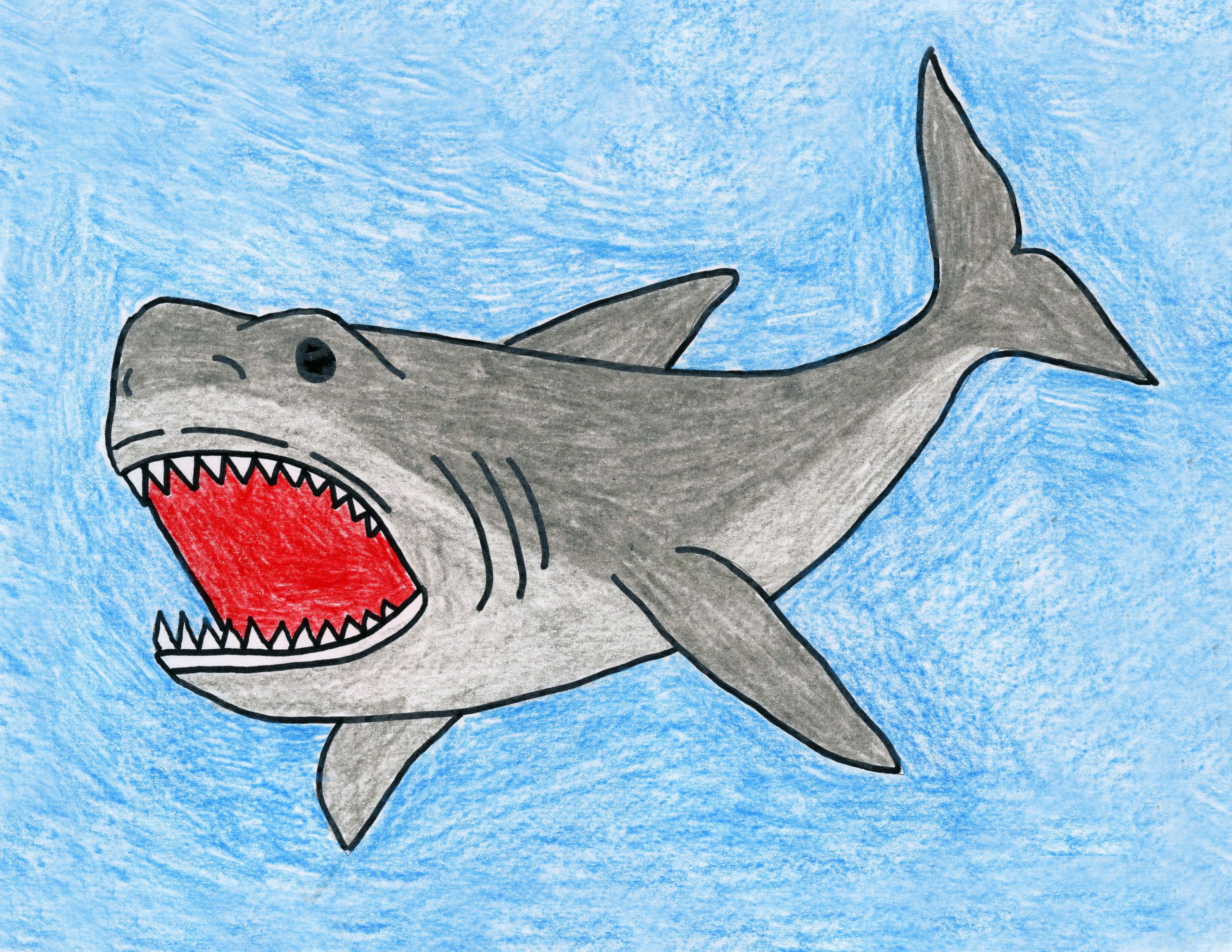 Shark Drawing Artistic Sketching