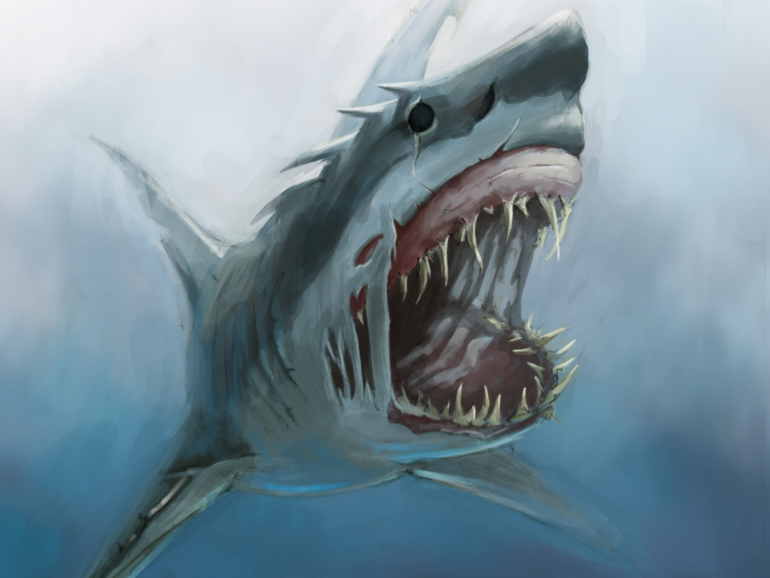 Shark Drawing Fine Art