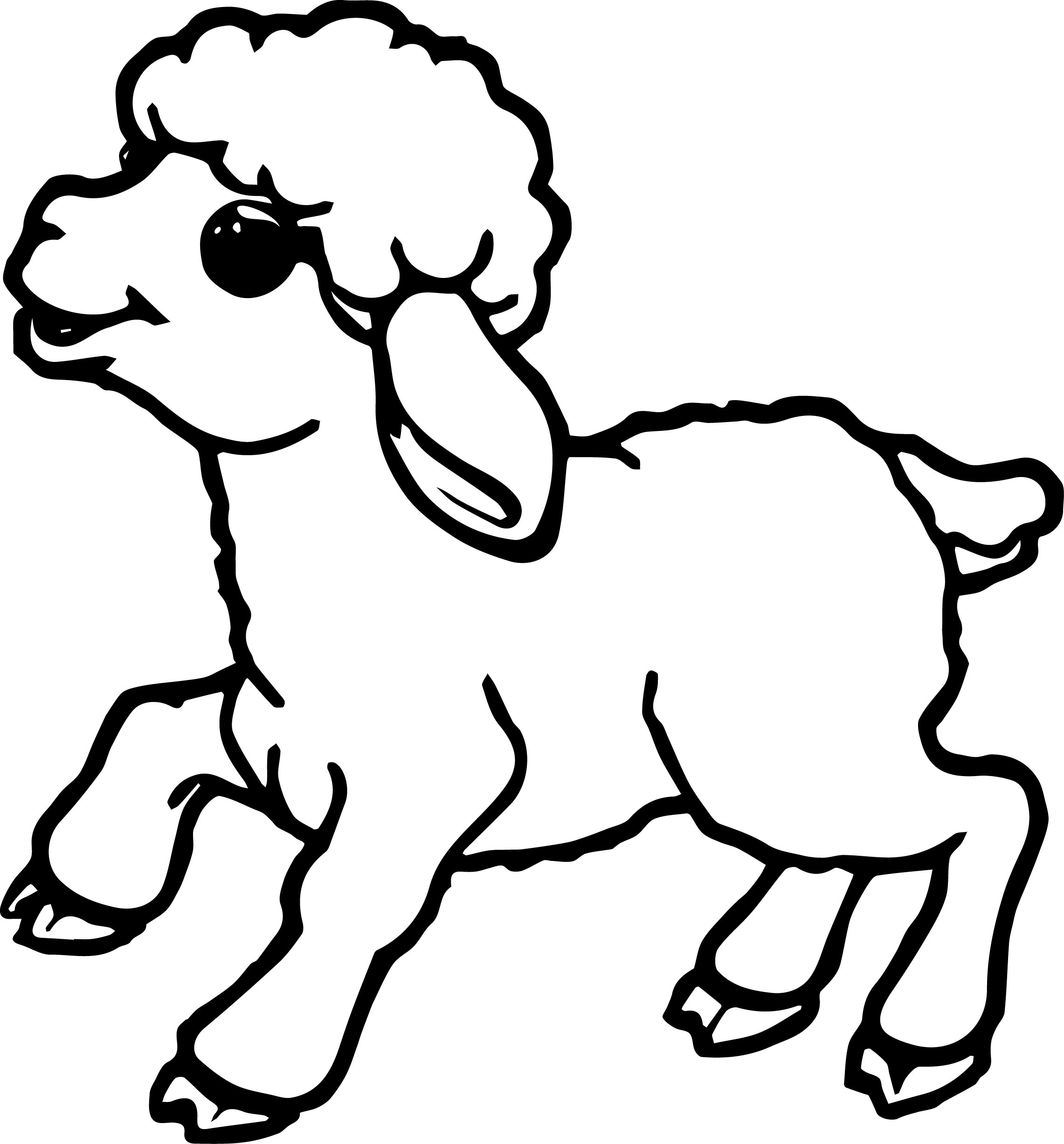 Sheep Drawing Hand Drawn