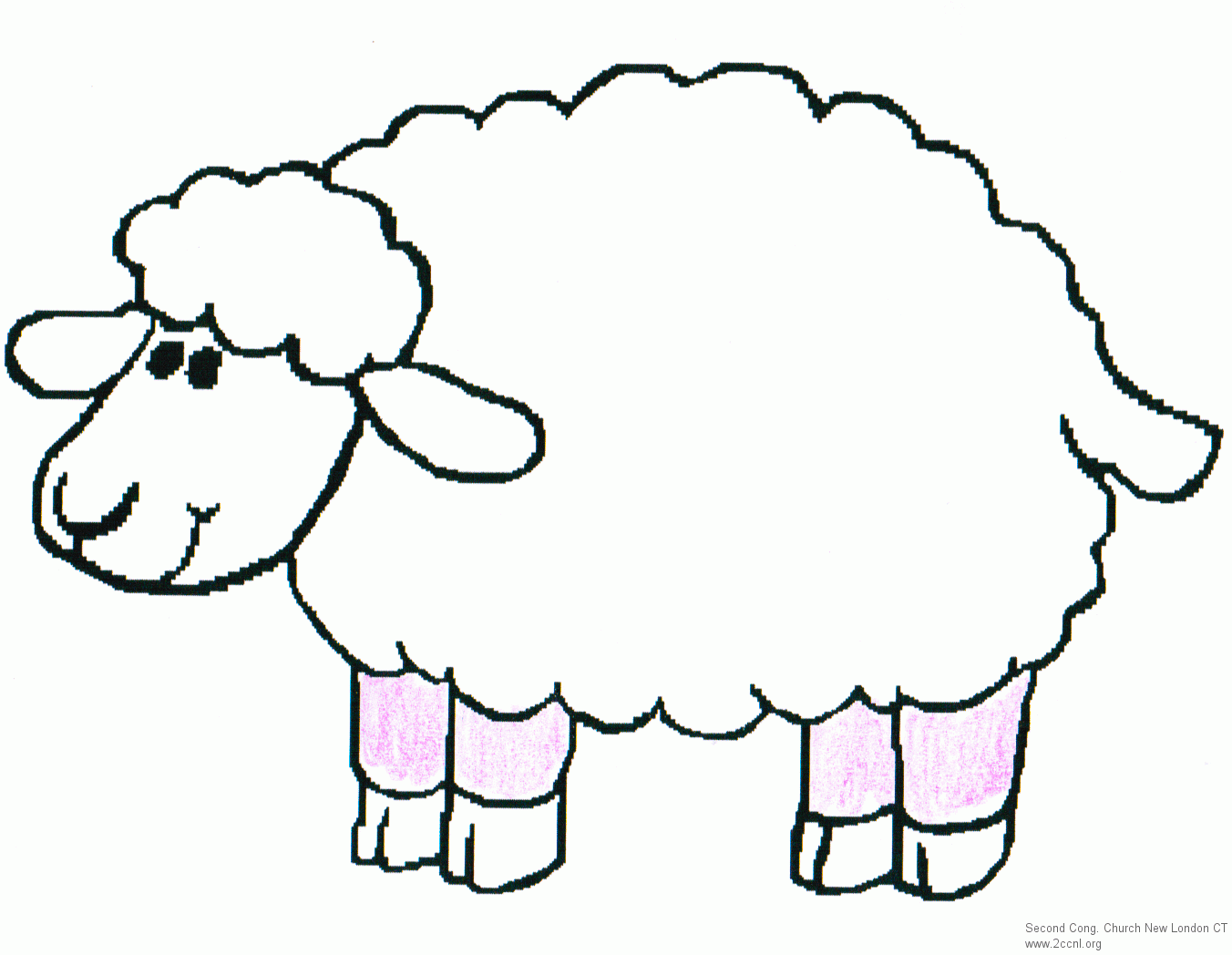 Sheep Drawing Sketch