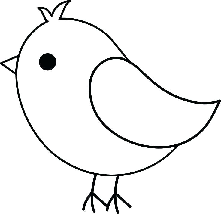 Simple Bird Drawing Creative Style