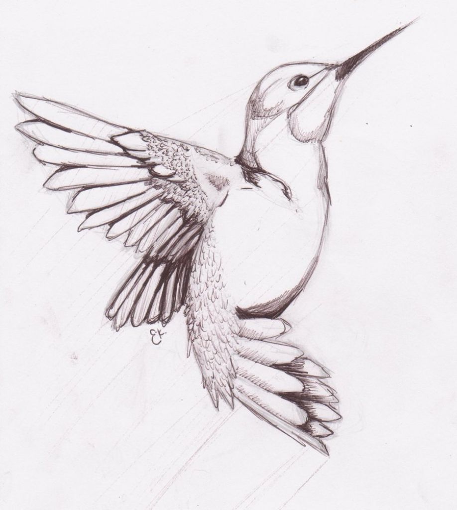 Simple Bird Drawing Fine Art
