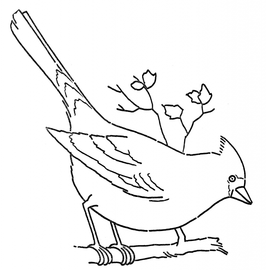 Simple Bird Drawing Sketch