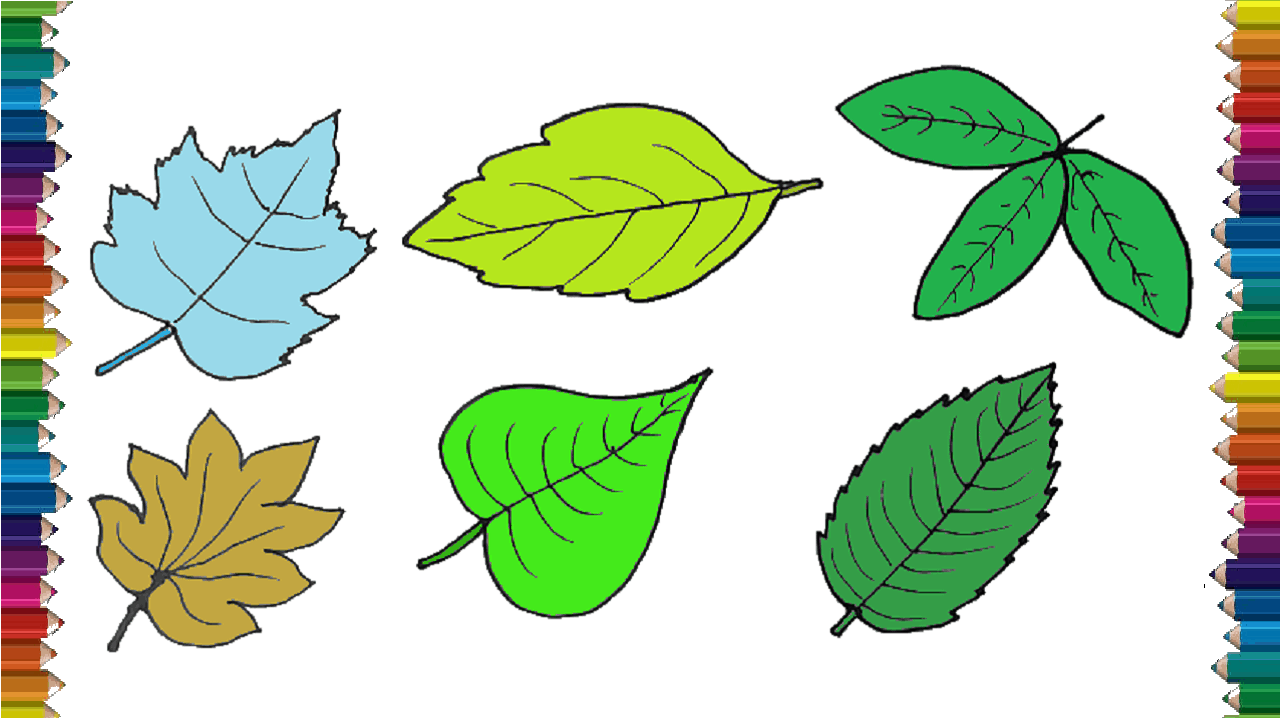 Simple Leaf Drawing Sketch