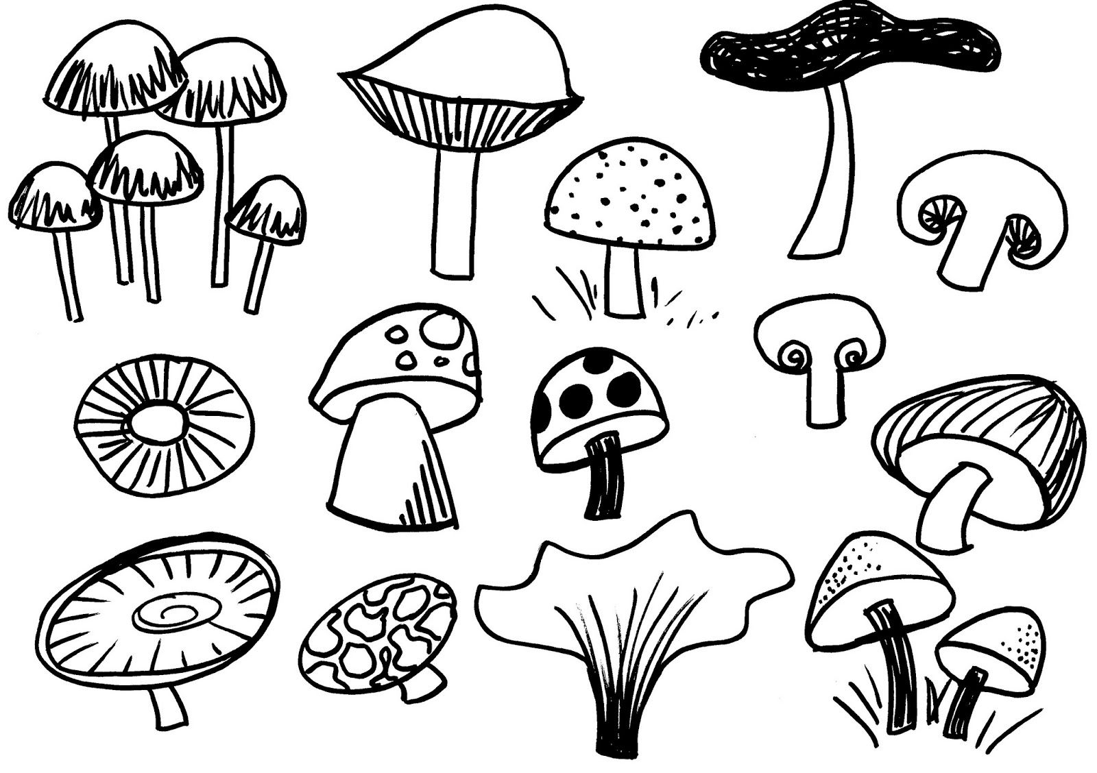 Simple Mushroom Drawing Fine Art