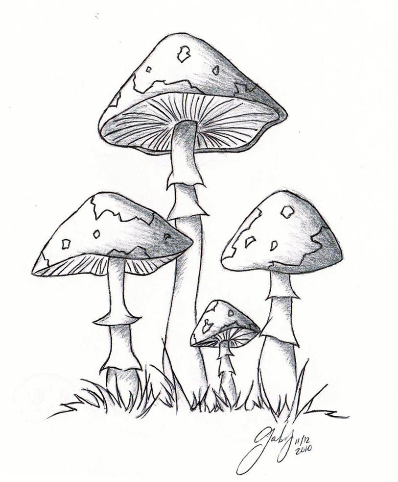 Simple Mushroom Drawing Hand Drawn Sketch