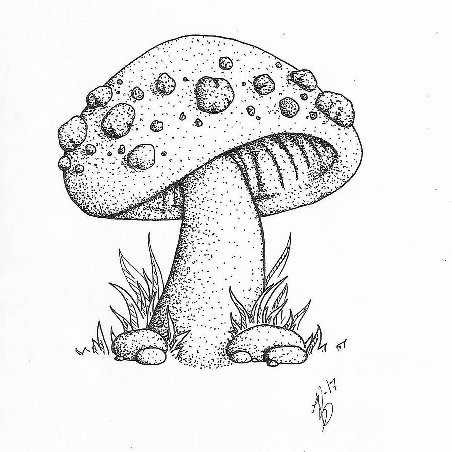 Simple Mushroom Drawing Hand Drawn