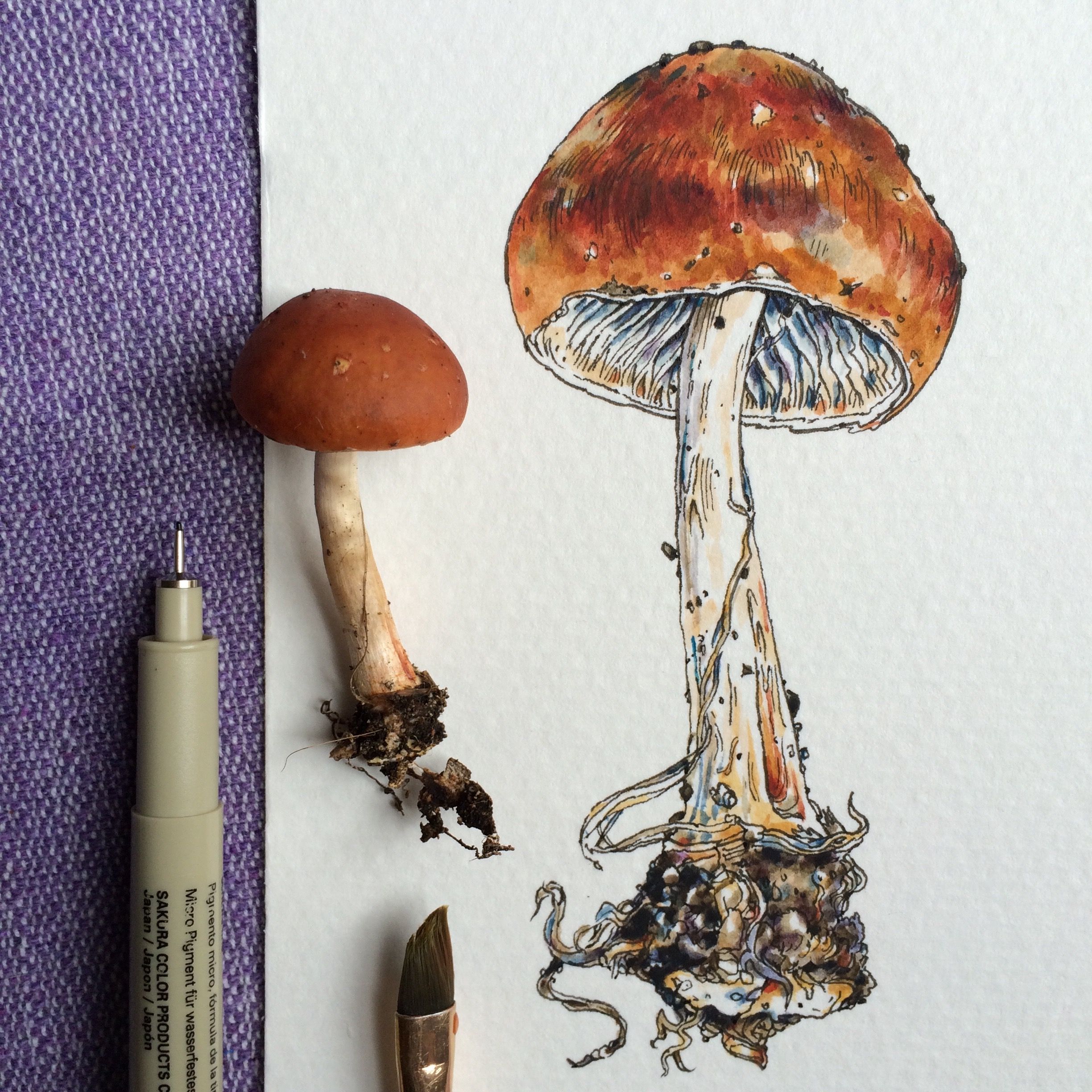Simple Mushroom Drawing Intricate Artwork