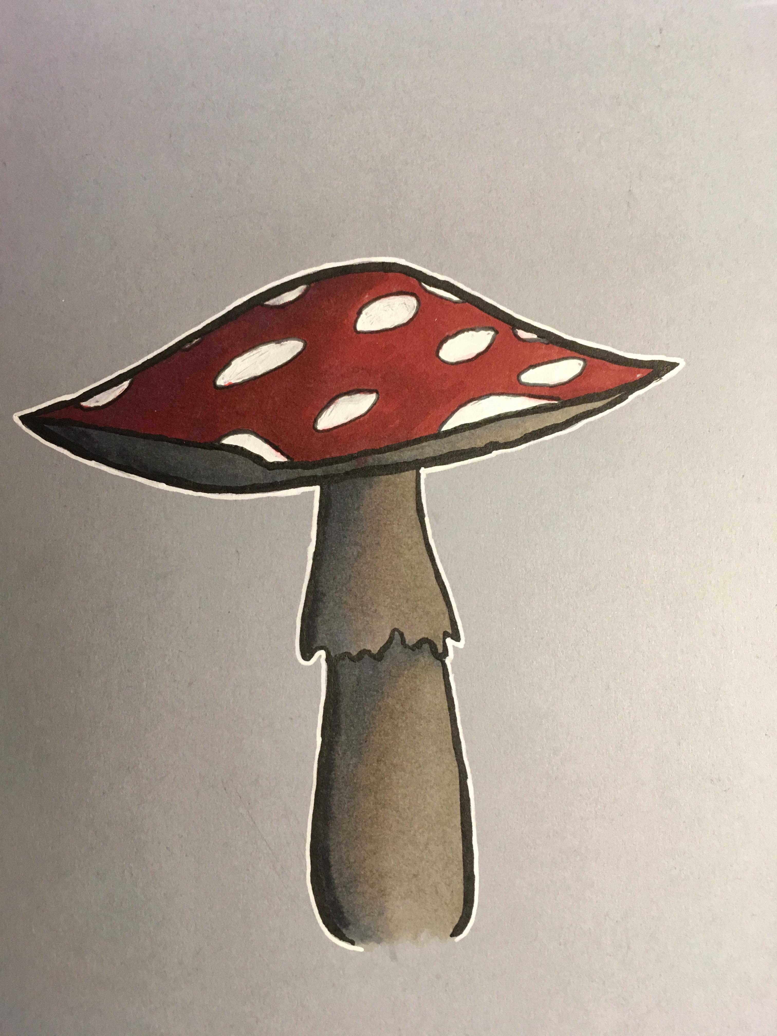 Simple Mushroom Drawing Professional Artwork