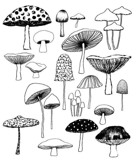 Simple Mushroom Drawing Realistic Sketch