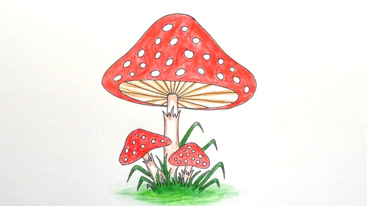 Simple Mushroom Drawing Sketch