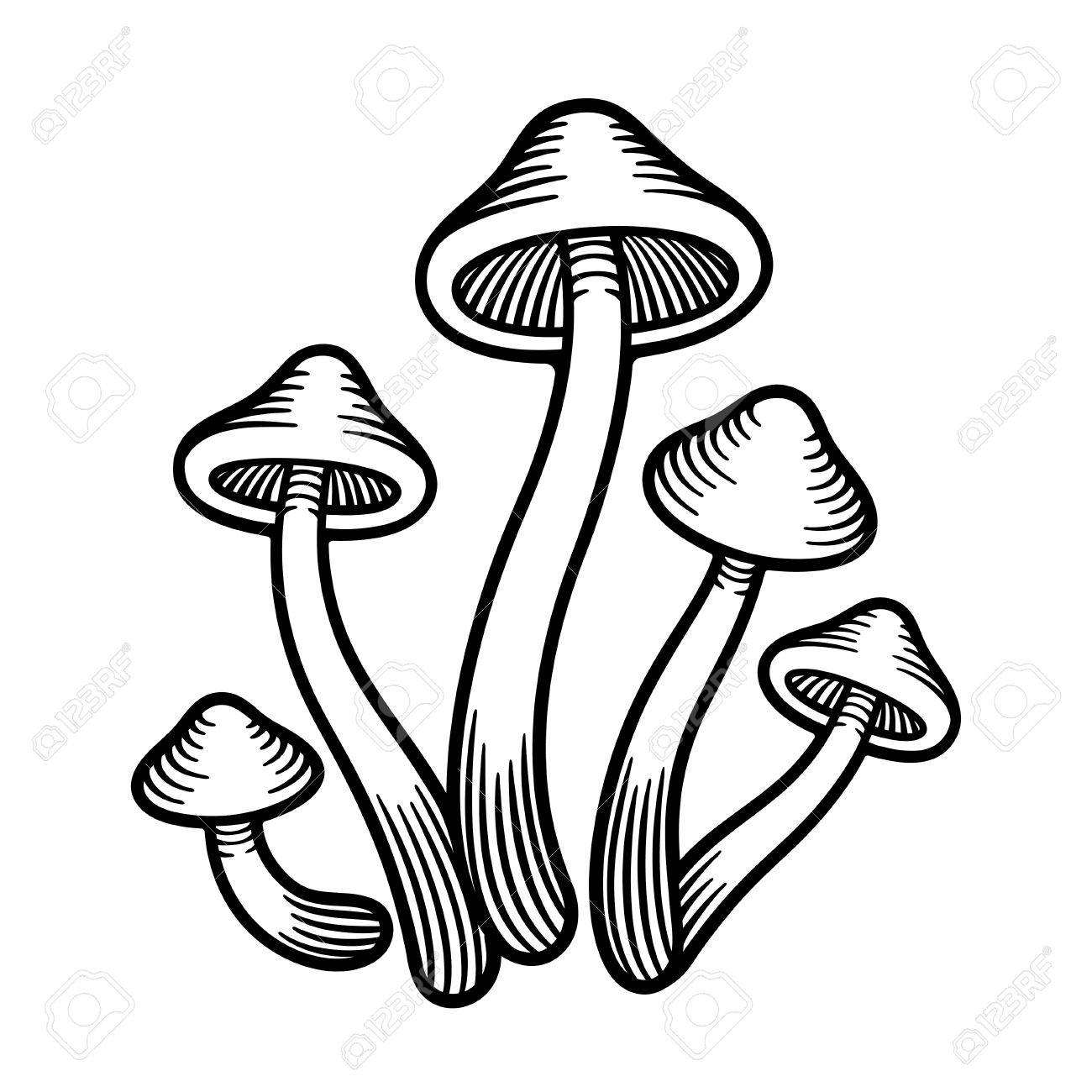 Simple Mushroom Drawing Stunning Sketch