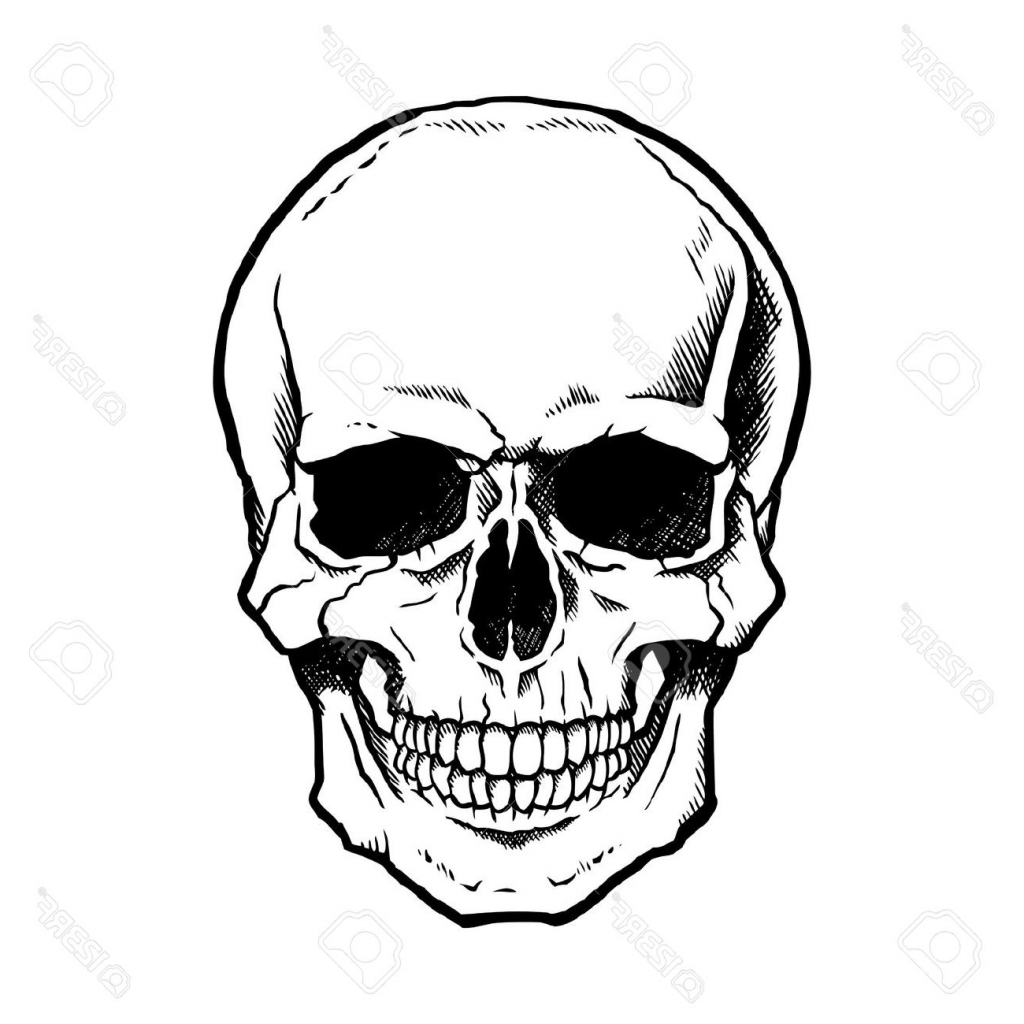 Simple Skull Drawing Detailed Sketch