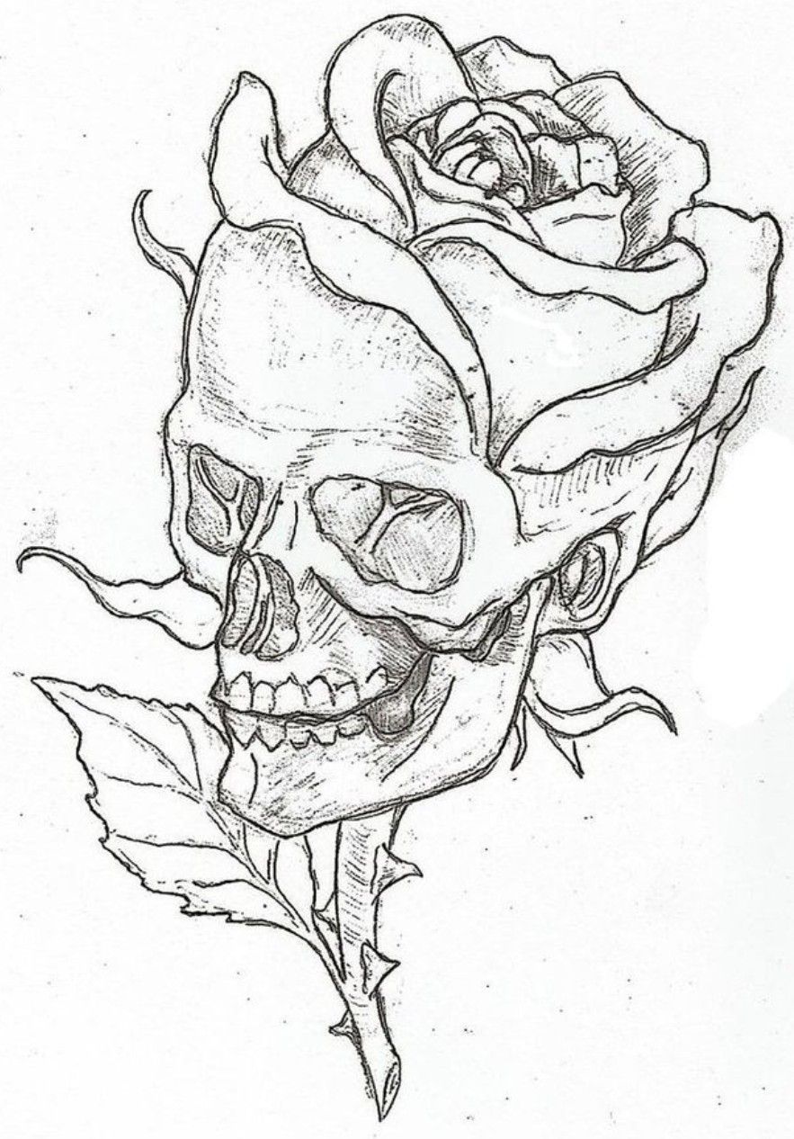 Simple Skull Drawing Sketch