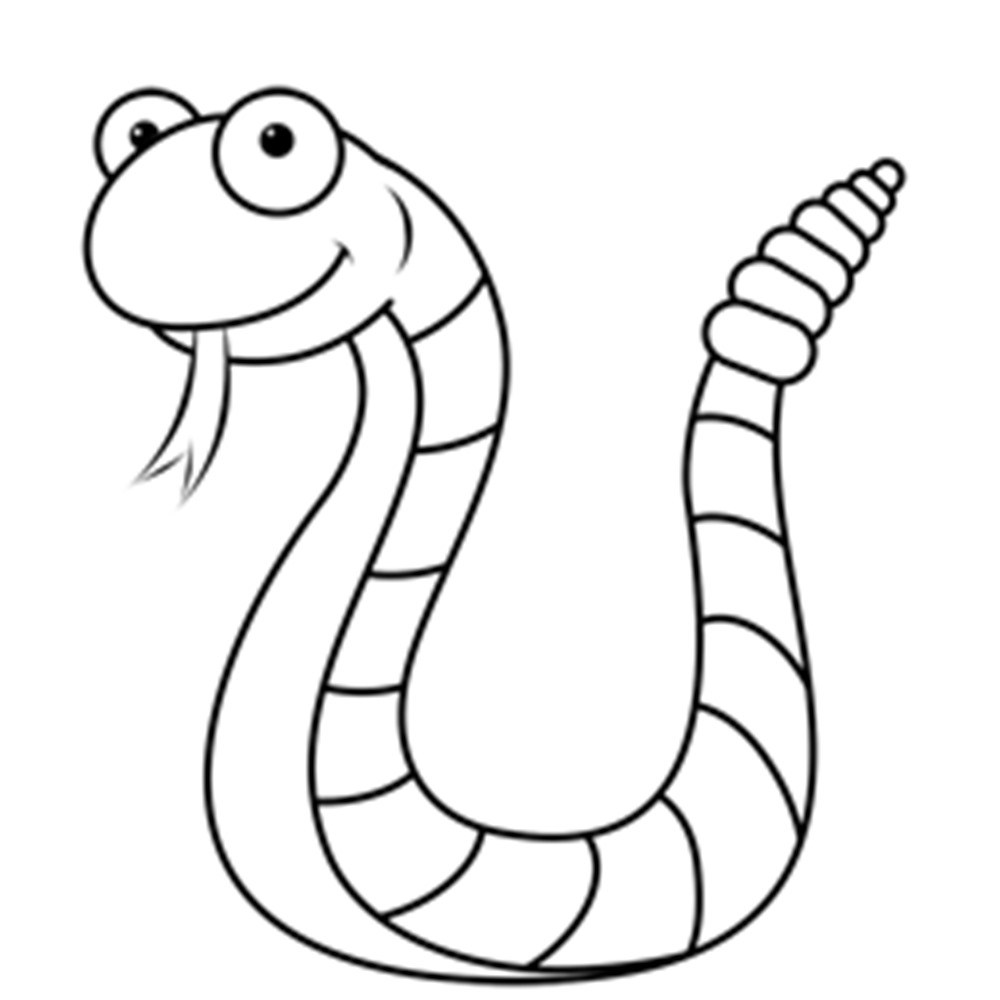 Snake Drawing Artistic Sketching