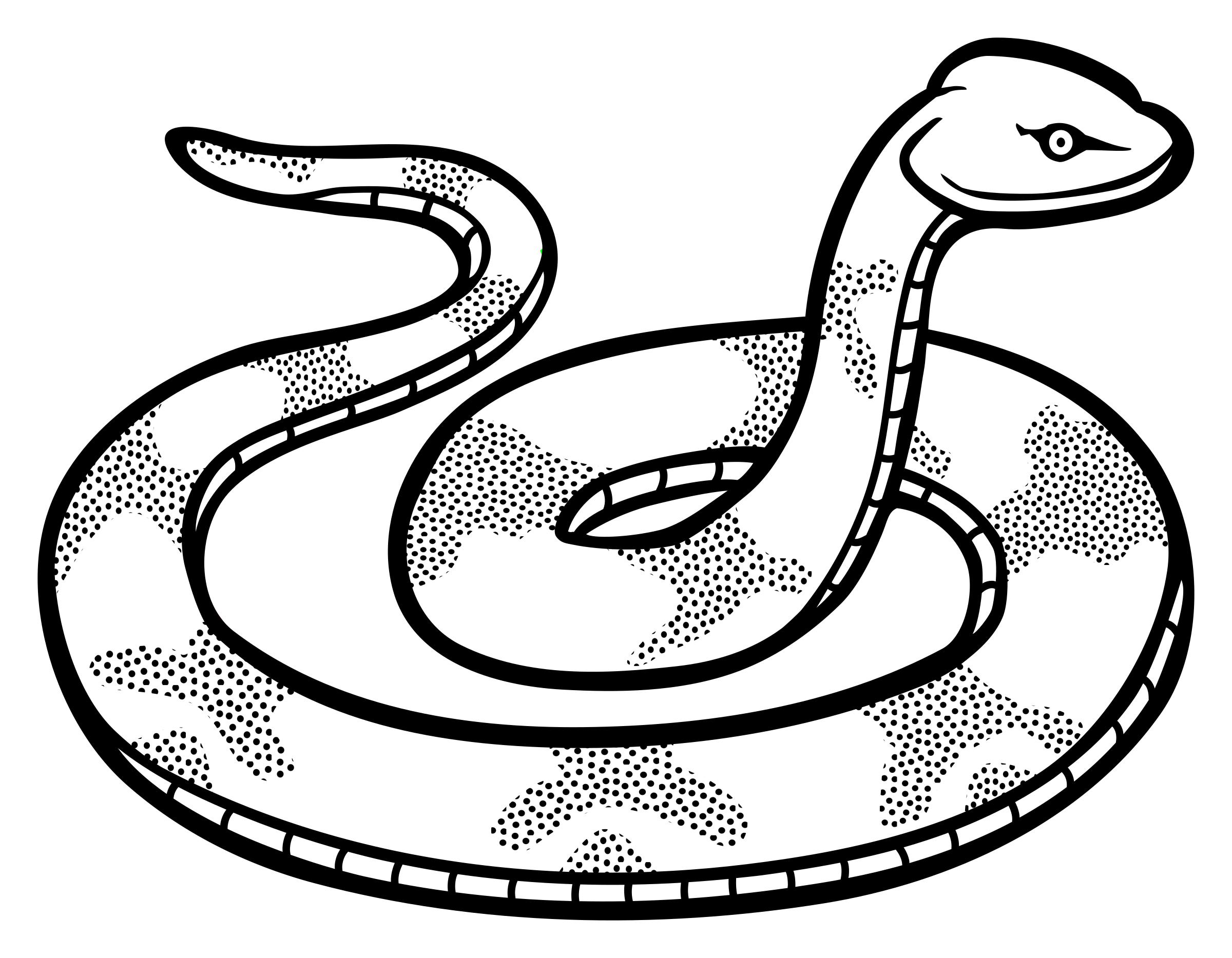 Snake Drawing Beautiful Artwork