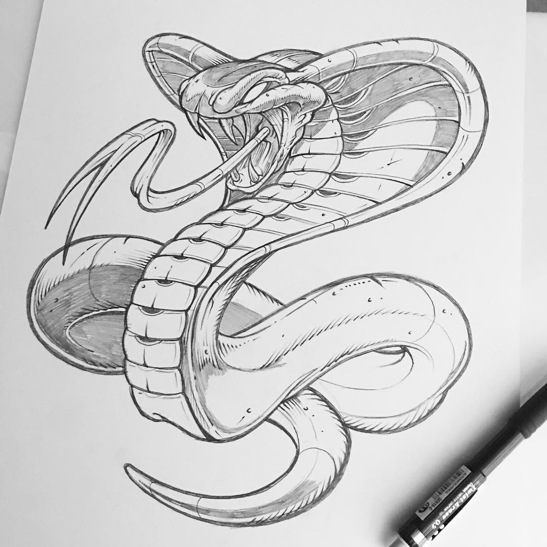 Snake Drawing Hand Drawn