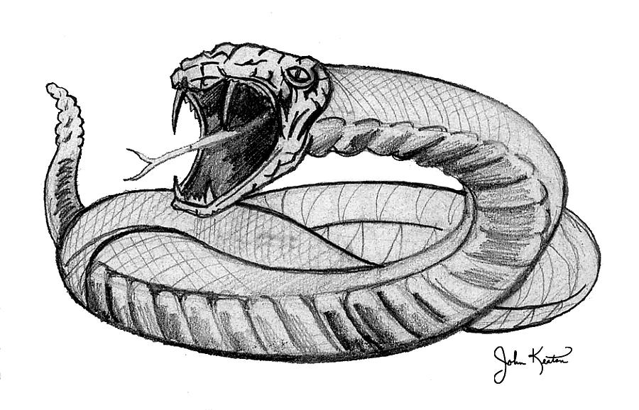 Snake Drawing Intricate Artwork