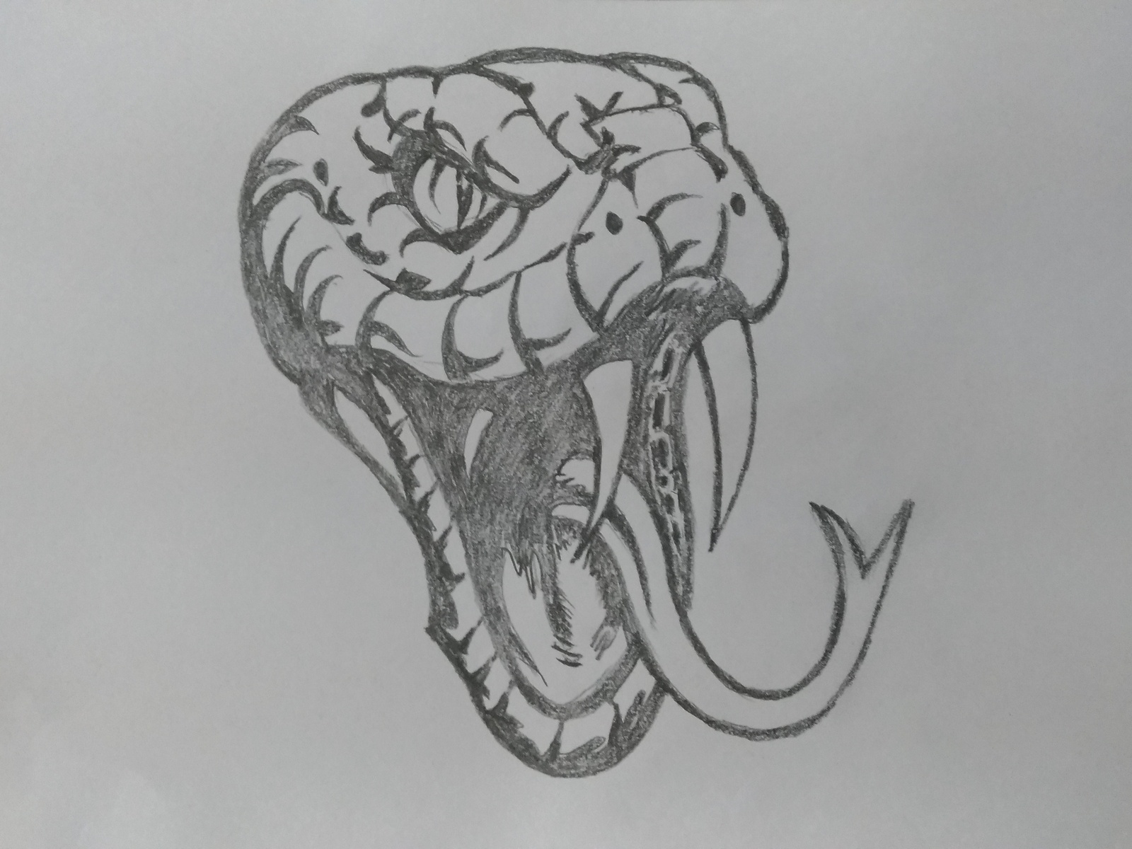 Snake Head Drawing Amazing Sketch