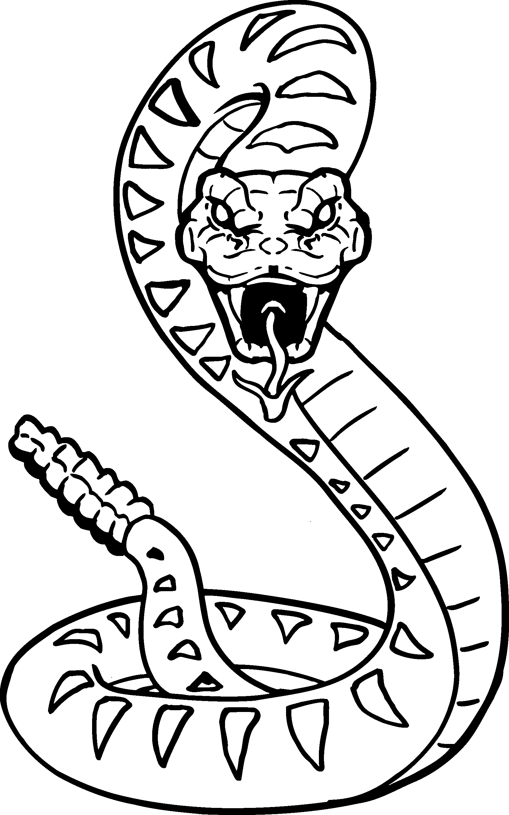 Snake Head Drawing Fine Art