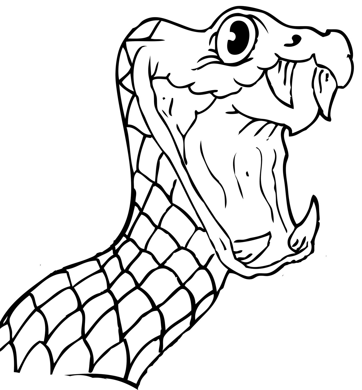 Snake Head Drawing Photo
