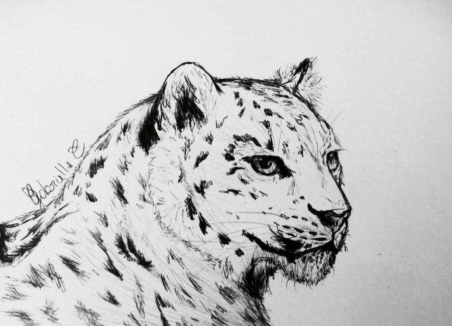 Snow Leopard Drawing Detailed Sketch