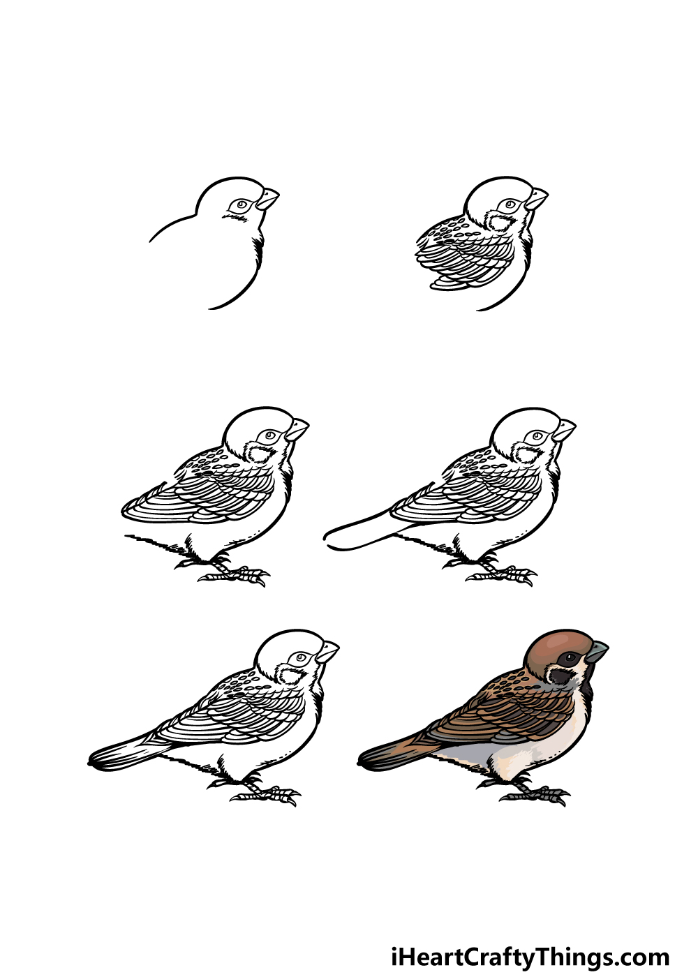 Sparrow Drawing Intricate Artwork
