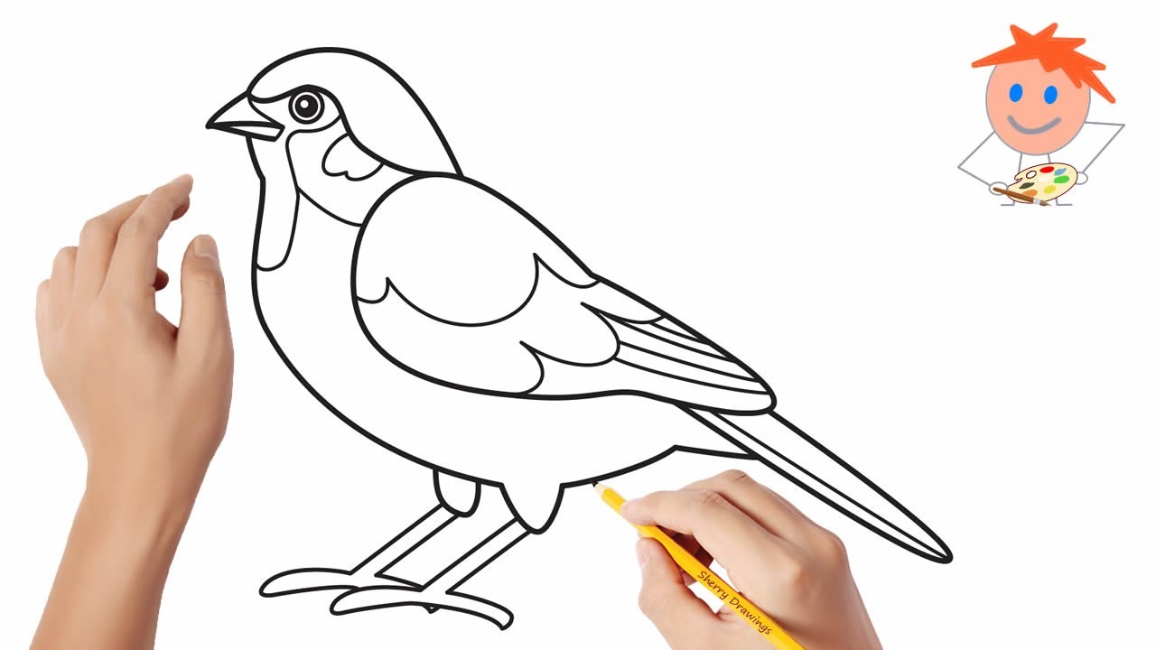 Sparrow Drawing Modern Sketch
