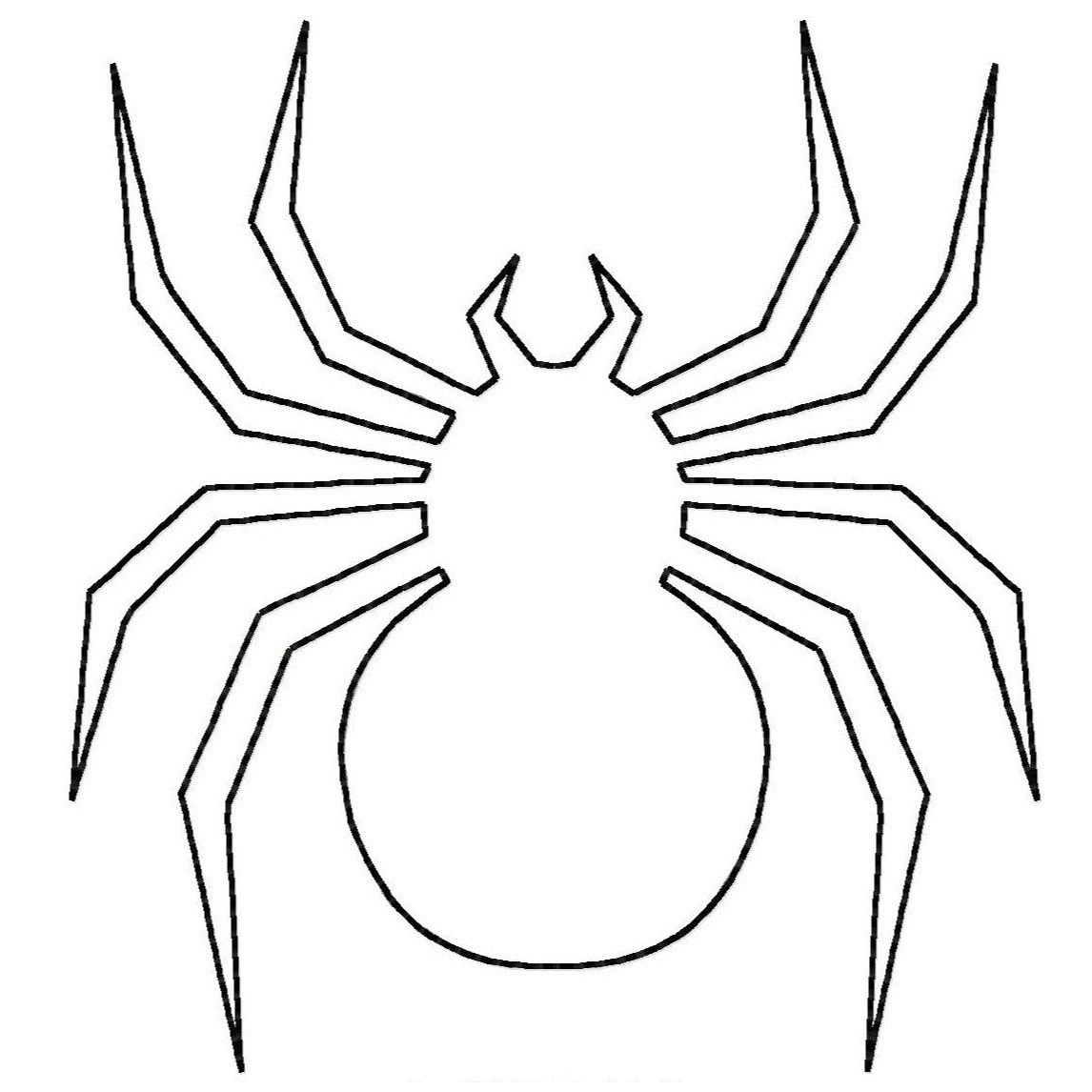 Spider Drawing Fine Art