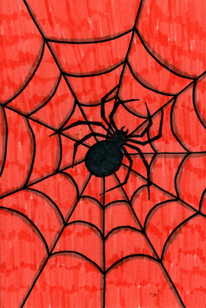 Spider Drawing Hand Drawn Sketch